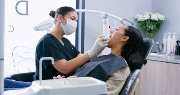Reliable North Lewisburg, OH  Holistic Dental Services Solutions